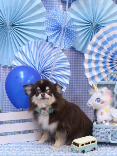 20231128ラブちゃん